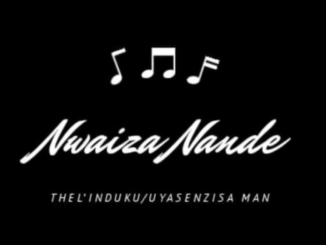 Nwaiiza Nande Thel'Induku (Uyasenzisa) - Zombie