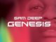 Sam Deep – Undenzani Ntombo Ft. Sino Msolo
