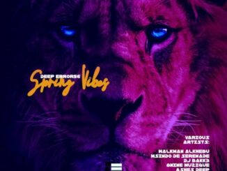 Various Artists – Deep Error56 Spring Vibes