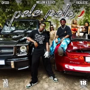 CH’CCO & Focalistic Ft. Mellow & Sleazy – Pele Pele (Unofficial) 