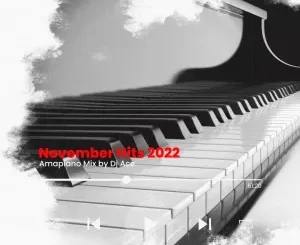 DJ Ace – November Hits 2022 (Amapiano Mix)