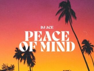 DJ Ace – Peace of Mind Vol 47 (Soulful House Slow Jam Mix)