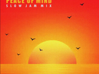 DJ Ace – Peace of Mind Vol 48 (Slow Jam Mix)