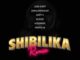Lord Script Ft. Okmalumkoolkat, MusiholiQ, Blxckie, Audiomarc & Nasty C – Shibilika Remix