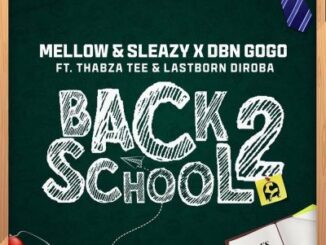 Mellow & Sleazy & DBN Gogo Ft. Thabza Tee & LastBorn Diroba – Back2School