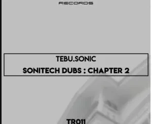 Tebu.Sonic – Seeking (Sonitech Dub)