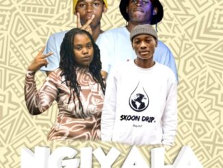 The Cool Guys – Ngiyala Ft. Lulow_RSA & Ndlu Nkulu