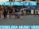 Toss - Ncebeleka Ft Felo Le Tee