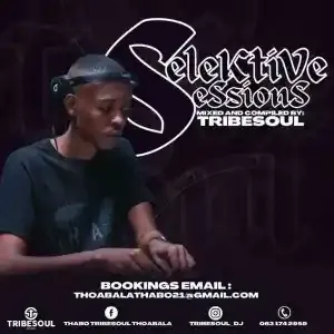 TribeSoul – Selektive Sessions 012 Mix