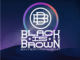 VA – Black Is Brown Compilation Vol. 2