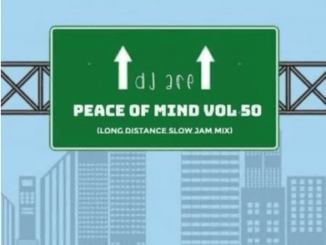DJ Ace – Peace of Mind Vol 50 (Long Distance Slow Jam Mix)
