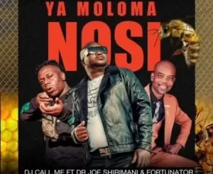 DJ Call Me – Ya Moloma Nosi Ft. Dr Joe Shirimani & Fortunator