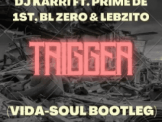 DJ Karri Ft. BL Zero, Lebzito & Prime De 1st – Trigger (Vida-soul Bootleg)