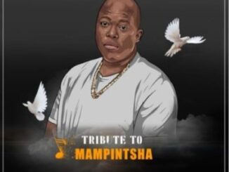 DJ King Bee – Mampintsha Tribute Mix