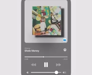 FLUXX, Tapes & 2woBunnies – Sheik Money