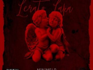 Minimelo Ft. Shaun K De Vocalist – Lerato Laka