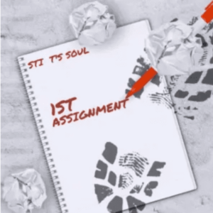STI T’s Soul – 1St Assignment