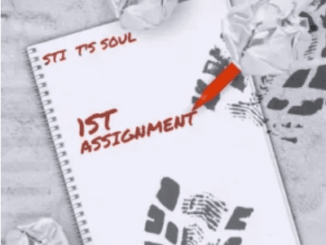STI T’s Soul – 1St Assignment