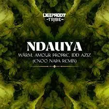 Warm, Amour Propre & Idd Aziz – Ndauya (Enoo Napa Remix)
