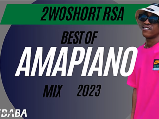2woshort – Best Of Amapiano Mix 2023 Ft DJ Webaba