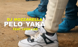 DJ Mozerrella - Pelo Yaka Ft Leon Lee