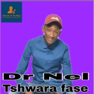 DR Nel – Tshwara Fase