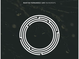 Martín Fernandez (AR) - Reciprocity (Original Mix)