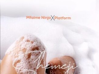 Mfalme Ninja – Shemeji Remix Ft Platform