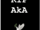 Burna Boy – Tribute To Aka (RIP AKA)