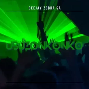 Deejay Zebra SA