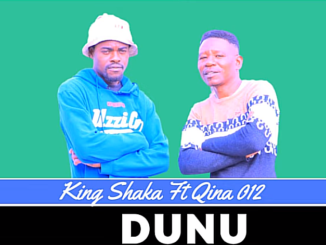 King Shaka - Dunu Ft Qina 012