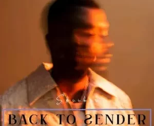 Skiibii – Back To Sender