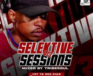 TribeSoul – Selektive Sessions 013 Mix