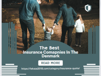 Insurance Comapnies In The Denmark