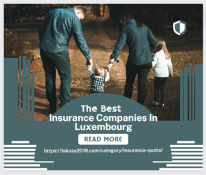 Insurance Companies In Luxembourg