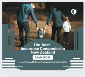 Insurance Companies In New Zealand