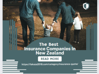 Insurance Companies In New Zealand