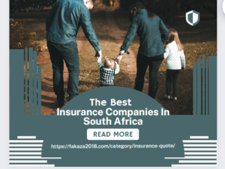 Insurance Companies In South Africa
