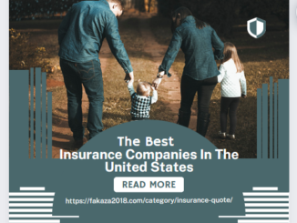 Insurance Companies In The United States