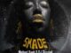 Michael Kush & DJ Shampli – Shade ft Guyu Pane, Sam Kam, Chamberlain Y & Vinox Musiq
