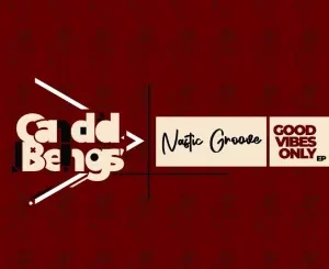 EP: Nastic Groove – Good Vibes Only