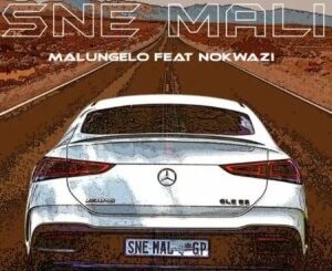 Malungelo – Sne Mali ft. Nokwazi