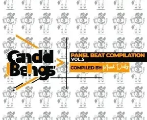 ALBUM: Panel Beat Compilation Vol.5 (Compiled By Mood Dusty)