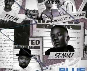 Senjay, Mellow & Sleazy & TitoM – Blue String ft Josiah De Disciple