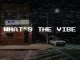 Sketchy Bongo – What’s The Vibe