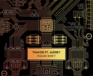 Thakzin – Please Don’t ft Audrey