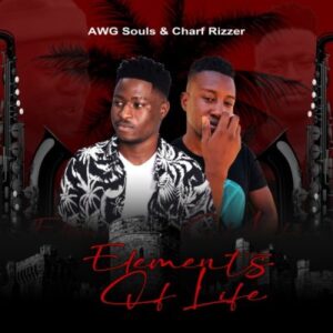 EP: AWG Souls & Charf Rizzer – Elements of Life