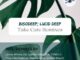 BisoDeep & Lucid Deep – Take Care (Syaman Deep Rsa Vibe Soul Remix)