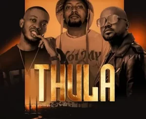 Nkanyezi Kubheka, Teddy & Salvation – Thula