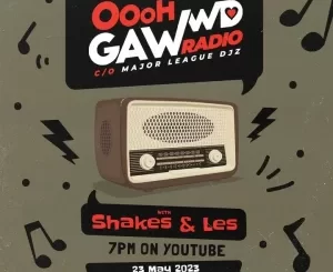 Shakes & Les & Major League Djz – Ohh Gawd Radio Mix